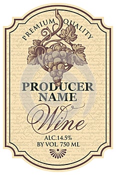 Vector wine label with hand-drawn bunch of grapes
