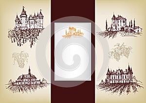 Vector wine labels