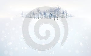 Vector winter background.