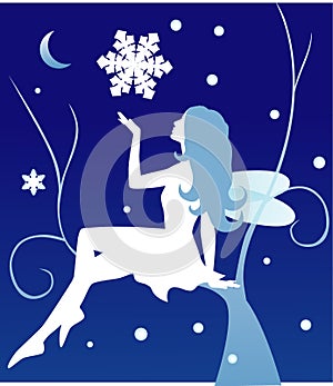 Vector winter fairy photo