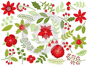 Vector Floral Christmas Set with Flowers, Berries and Leaves