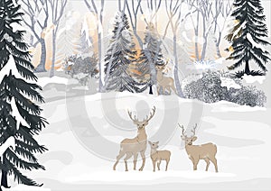 Vector winter landscape with bright sunbeams. Reindeer family standing in forest pine trees covered with snow on frosty evening.