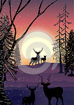 Vector winter landscape with bright sunbeams. Reindeer family standing in forest pine trees covered with snow on frosty evening.