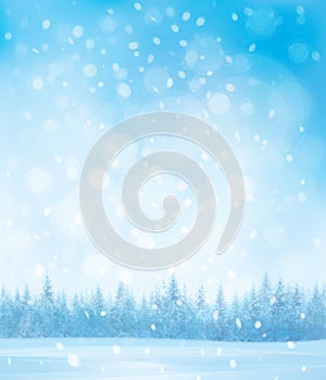 Vector winter snow forest background.