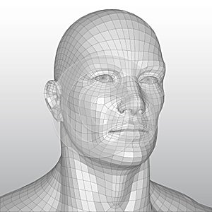 Vector wire frame polygonal human head
