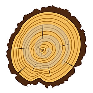 vector wooden cut of a tree log