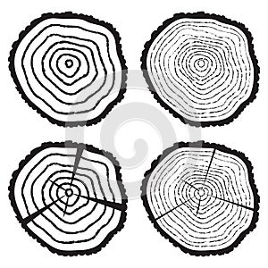 vector wooden cut of a tree log