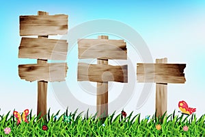 Vector wooden signboard with grass field photo