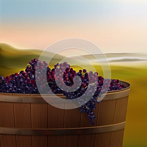 Vat with grapes photo