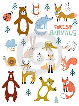 Vector woodland animals character, great for scrapbook,cute and sweet animals. Fall Floral Forest Design Elements.