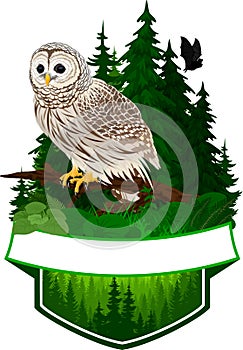 Vector woodland emblem with barred owl