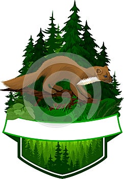 Vector woodland emblem with pine marten