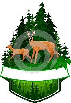 Vector woodland emblem with roe deers