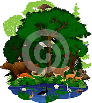 Vector woodland green forest and lake with animals: eagle, snake, fox, wild hog, grizzly bear, cougar puma, deers, barn owl, turtl