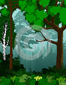 Vector woodland green forest trees backlit