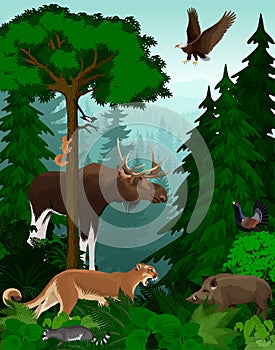 Vector woodland green forest trees backlit with animals