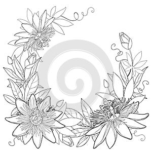 Vector wreath with outline tropical Passiflora or Passion flowers, bud, leaves and tendril isolated on white background.