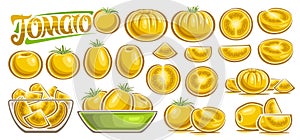 Vector Yellow Tomato Set