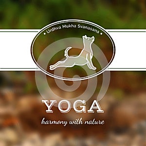 Vector yoga illustration. Yoga poster with a yoga pose.