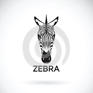 Vector of an zebra face on white background. Animals.