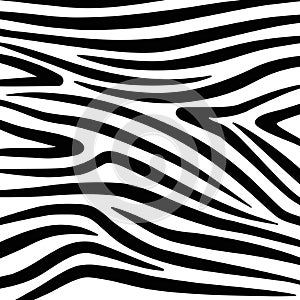 Vector Zebra Texture Black And White