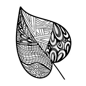 Vector zen tangle and doodle leaf. Nature coloring book. Black and white zentangle. Doodle handdrawn illustration.