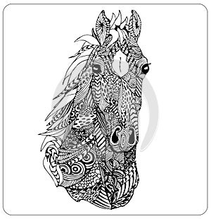 Vector zentangle horse head. High detailed ornamental muzzle isolated photo