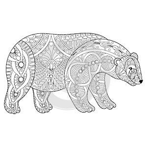 Vector zentangle polar bear head for adult anti stress coloring