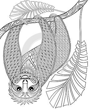 Vector zentangle three-toed sloth climbing on a branch, print for adult coloring page A4 size. Hand drawn artistically ethnic