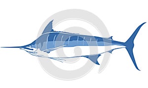 Vectored Blue Marlin