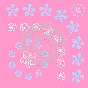 Vectorial flower pattern