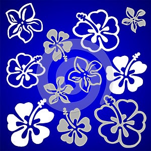 Vectorial flower pattern