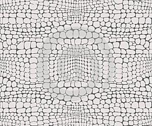 Vectorial texture of snake skin