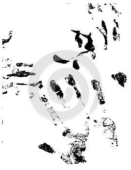 Vectorized Hand Prints and Smeers