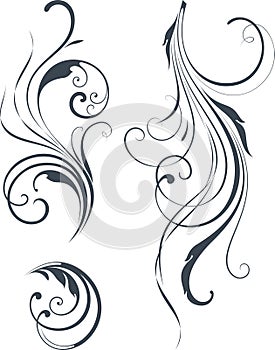 Vectorized Scroll Design