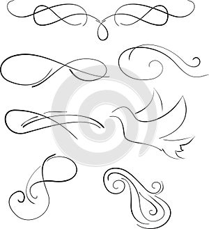 Vectorized Scroll Design