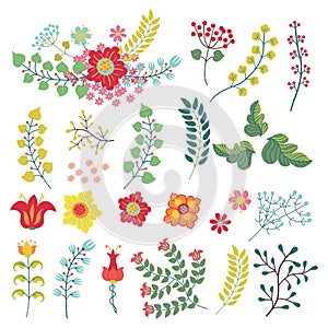 Vectorset with vintage flowers items.Flowers,branches,berries