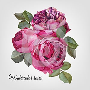 Vectot floral card with bouquet of watercolor roses.