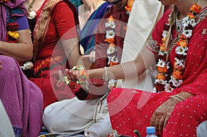 Vedic wedding