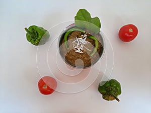 Veg. Hyderabadi curry on a plain white background