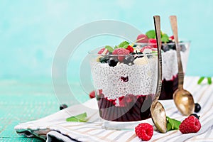 Vegan almond milk chia seeds pudding with raspberries