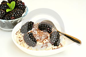 Vegan breakfast with oatmeal porridge and fresh fruit