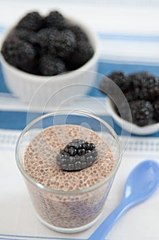 Vegan Chia Seed Pudding