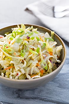 Vegan Coleslaw salad. Healthy cabbage salad