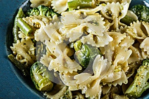 Vegan Farfalle pasta in a spinach sauce with broccoli, brussels sprouts, green beans in plate on dark stone background