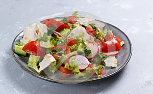 Vegan fattoush salad in a plate on a gray background. photo