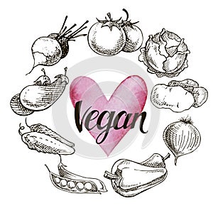 Vegan food concept. Hand drawn