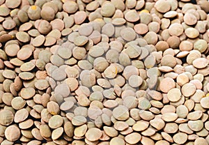 Lentil grains background. photo