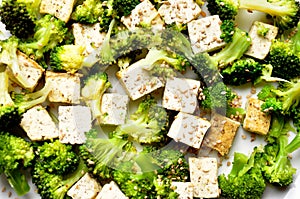 Vegan food : steamed broccoli and tofu dish