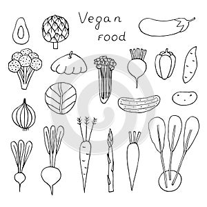 Vegan food vegetables set vector illustration, hand drawing doodles